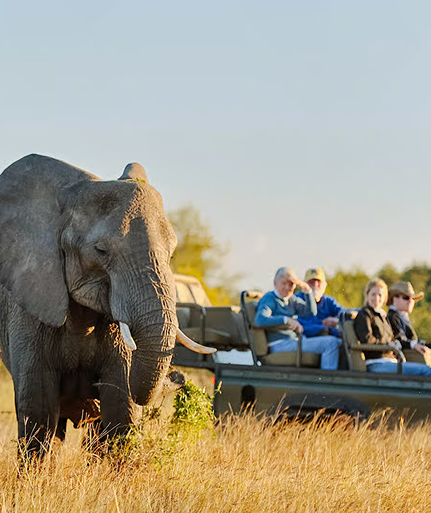 Africa